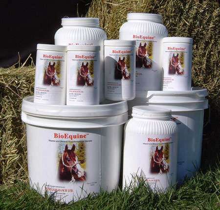BioEquine Horse Nutrition Supplement with Probiotics